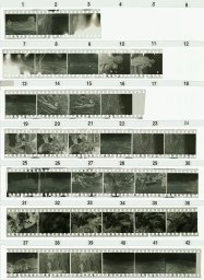 写真フィルムからよみがえる原爆の記録と記憶 ー長崎原爆翌日の記録を