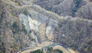 古秩父湾堆積層及び海棲哺乳類化石群 - ジャパンサーチ