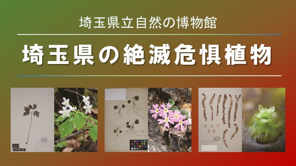 埼玉県の絶滅危惧植物 - ジャパンサーチ