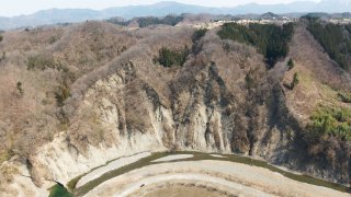 古秩父湾堆積層及び海棲哺乳類化石群 - ジャパンサーチ